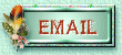 email button