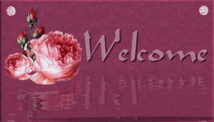 animated welcome graphic by BannerzRus
